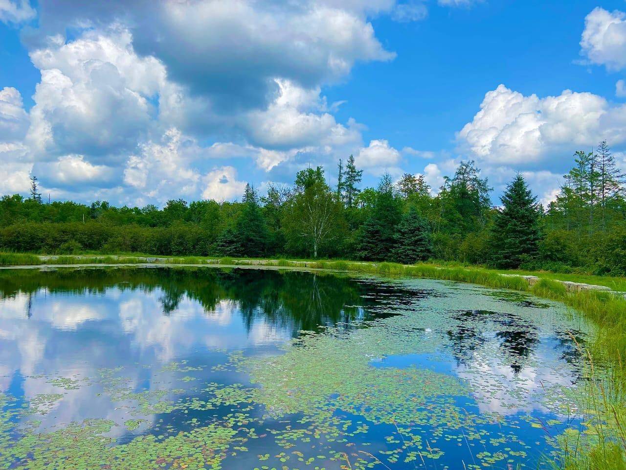 Trent Lakes, ON K0M 2A0,567 Reid ST