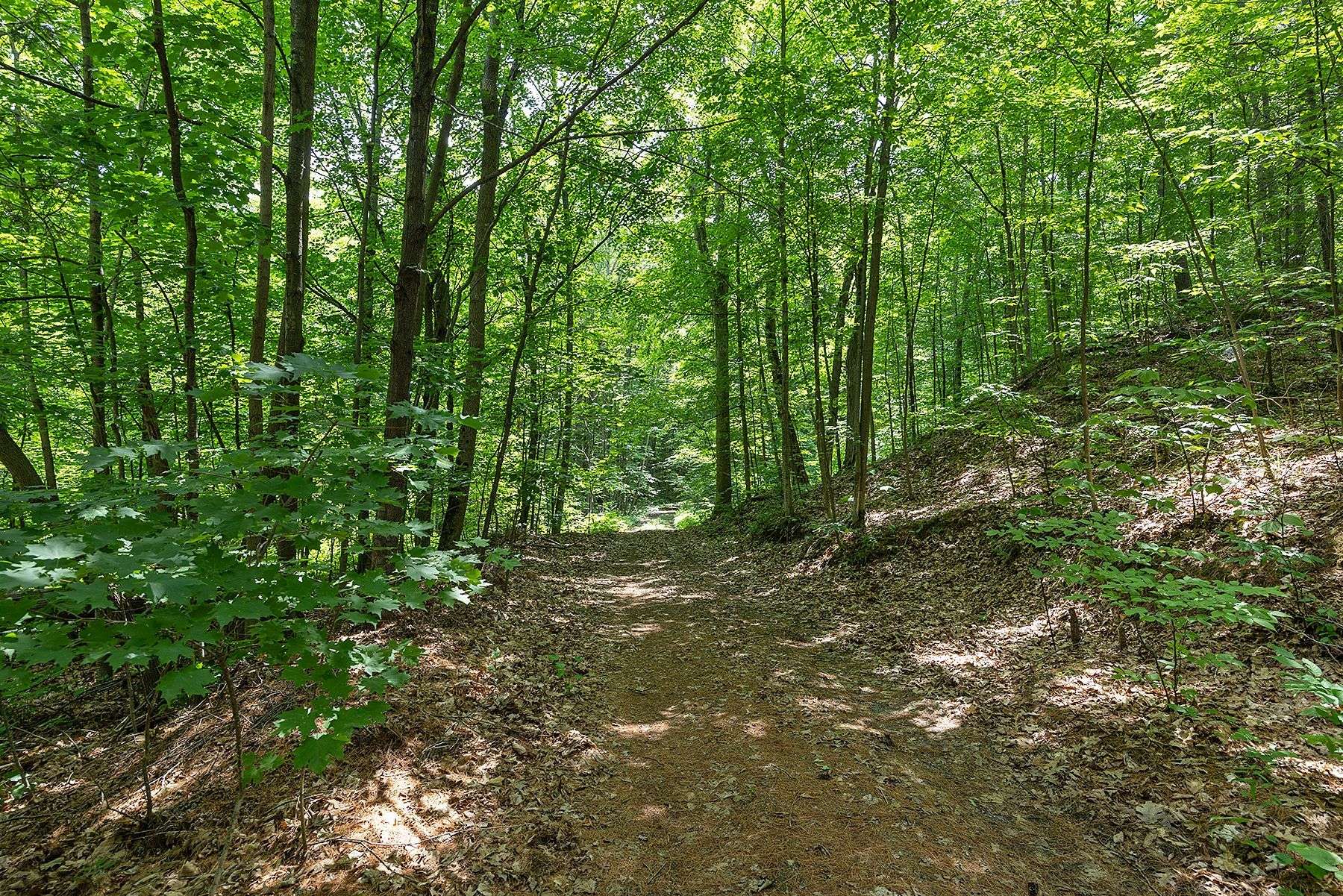 Frontenac, ON K0H 1W0,370A Steve Babcock LN