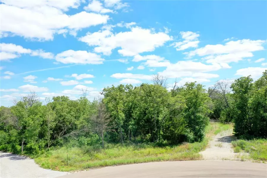 120 Bear Cat Court, Alvord, TX 76225
