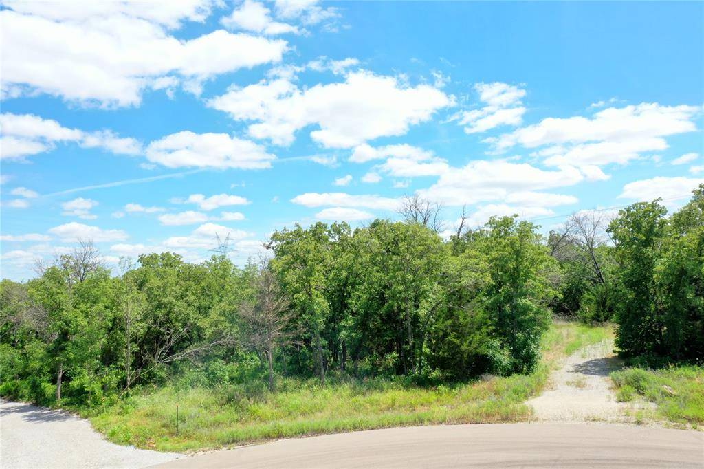 120 Bear Cat Court,  Alvord,  TX 76225