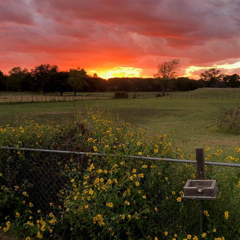 Springtown, TX 76082,1300 Knob Road