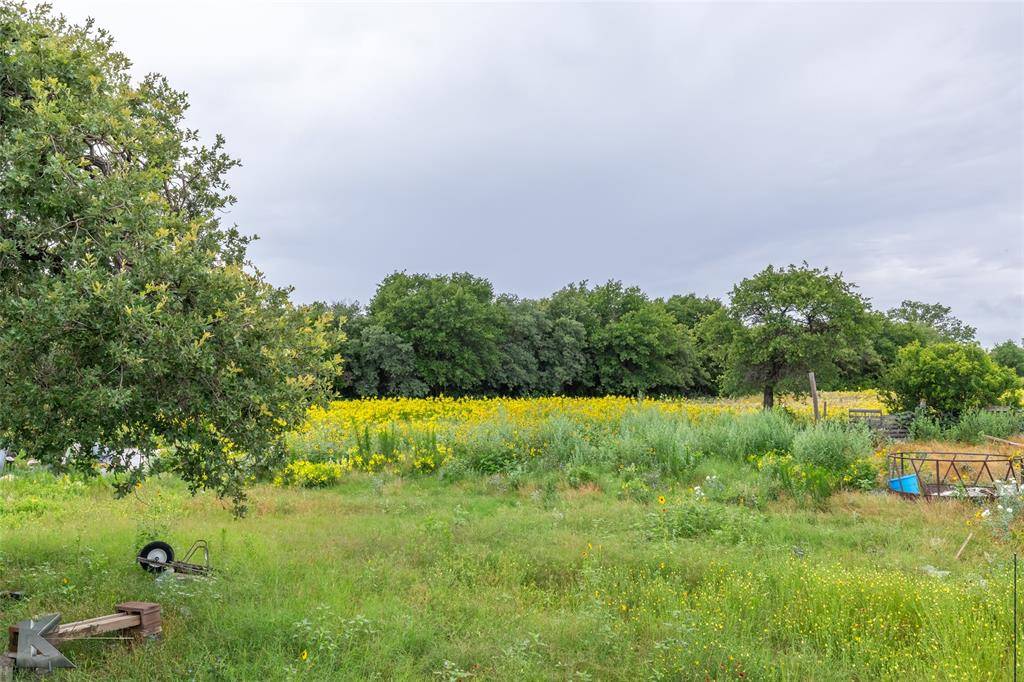 Hawley, TX 79525,11569 County Road 343
