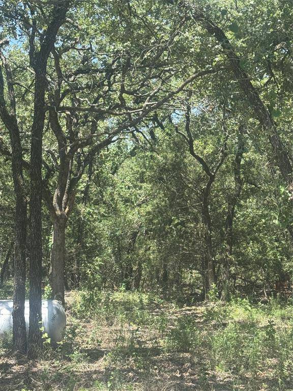 Bridgeport, TX 76426,500 PR 3204