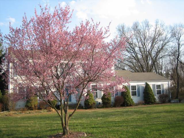 391 Springfield Avenue, Berkeley Heights Twp., NJ 07922