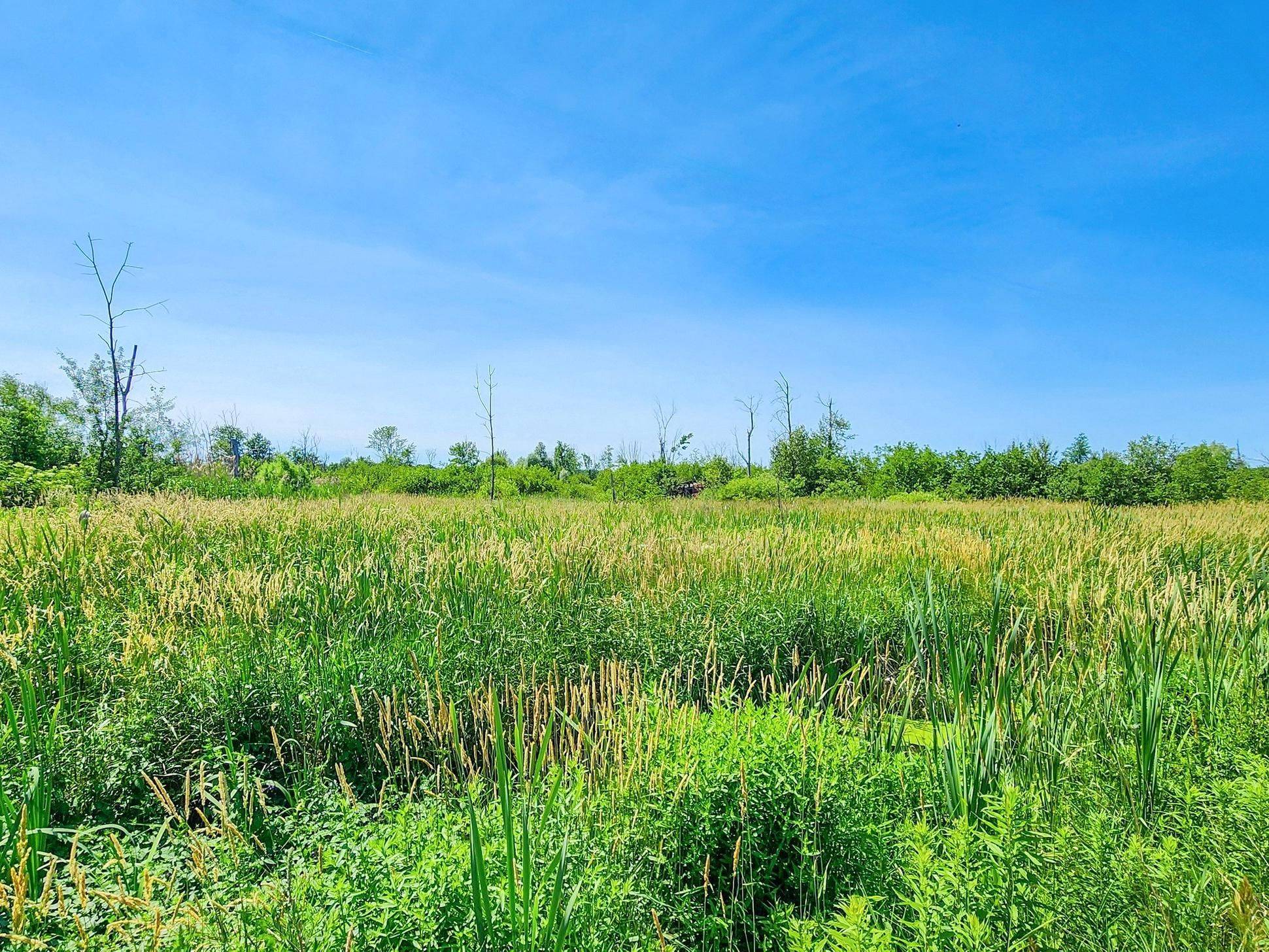 20200 Highway 48 N/A, East Gwillimbury, ON L0G 1M0