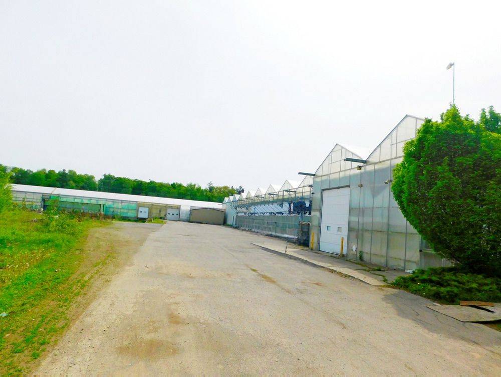 Norfolk, ON N0E 1Y0,2492 24 HWY
