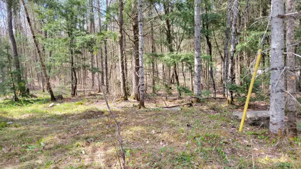 Mcmurrich/monteith, ON P0A 1Y0,1469 YEARLEY RD