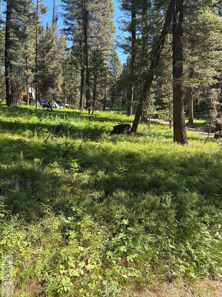 4121 Spruce Circle, Island Park, ID 83429