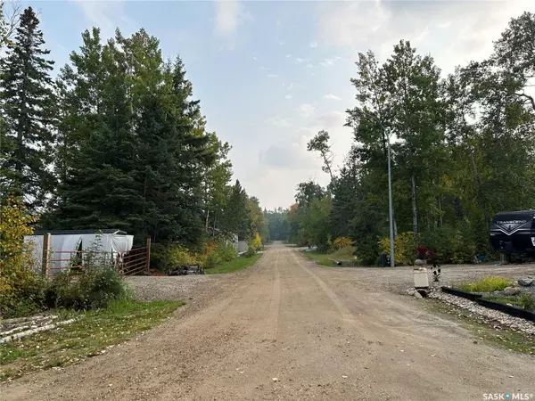 Paddockwood Rm No. 520, SK S0J 0N0,701 Michael John PLACE