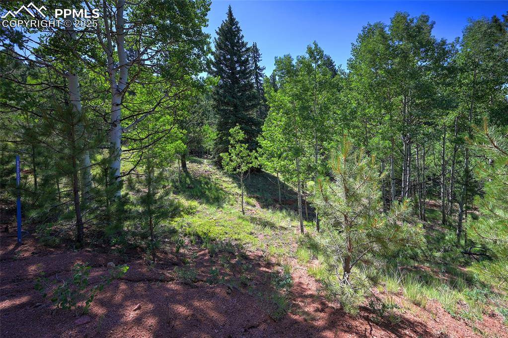 Cripple Creek, CO 80813,412 Princess RD