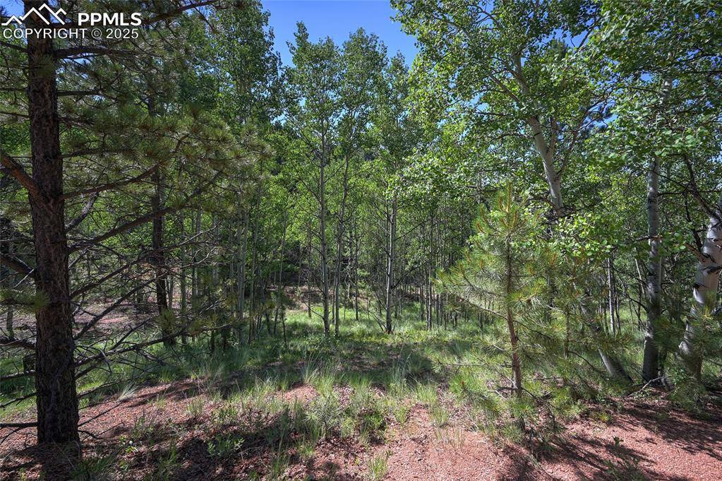 Cripple Creek, CO 80813,412 Princess RD