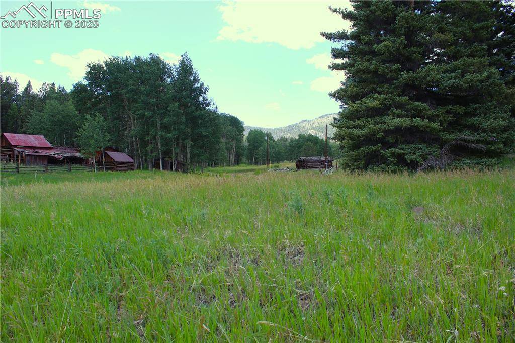 Lake George, CO 80827,340 County Road 90