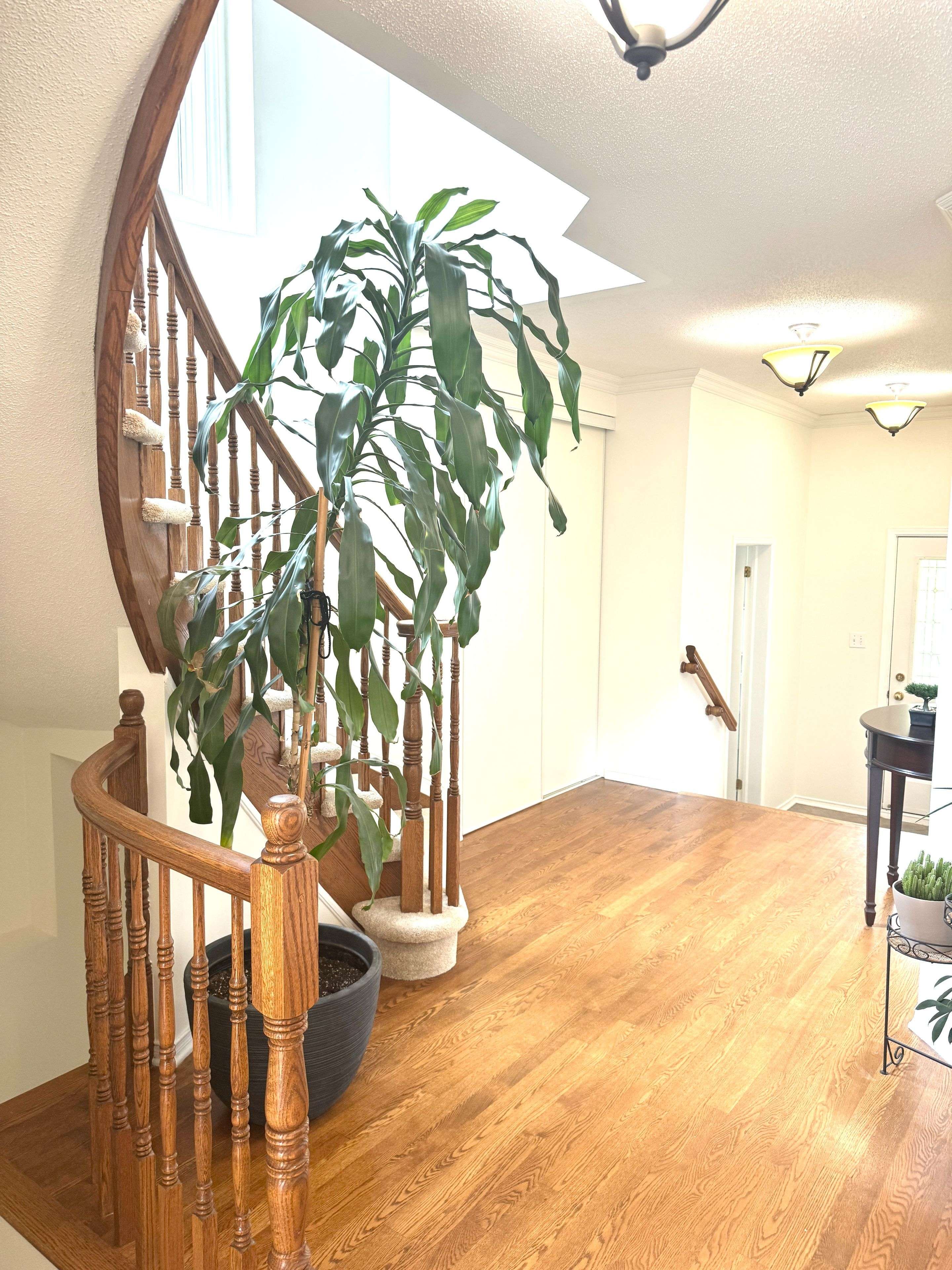 Kanata, ON K2M 2R7,77 Flowertree CRES