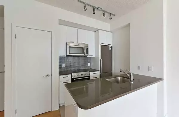 Toronto C01, ON M5V 0L4,295 Adelaide ST W #4010