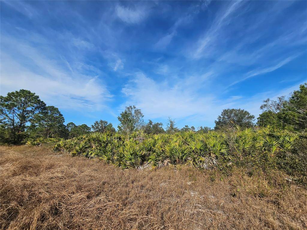Avon Park, FL 33825,1810 N NANTUCKET RD