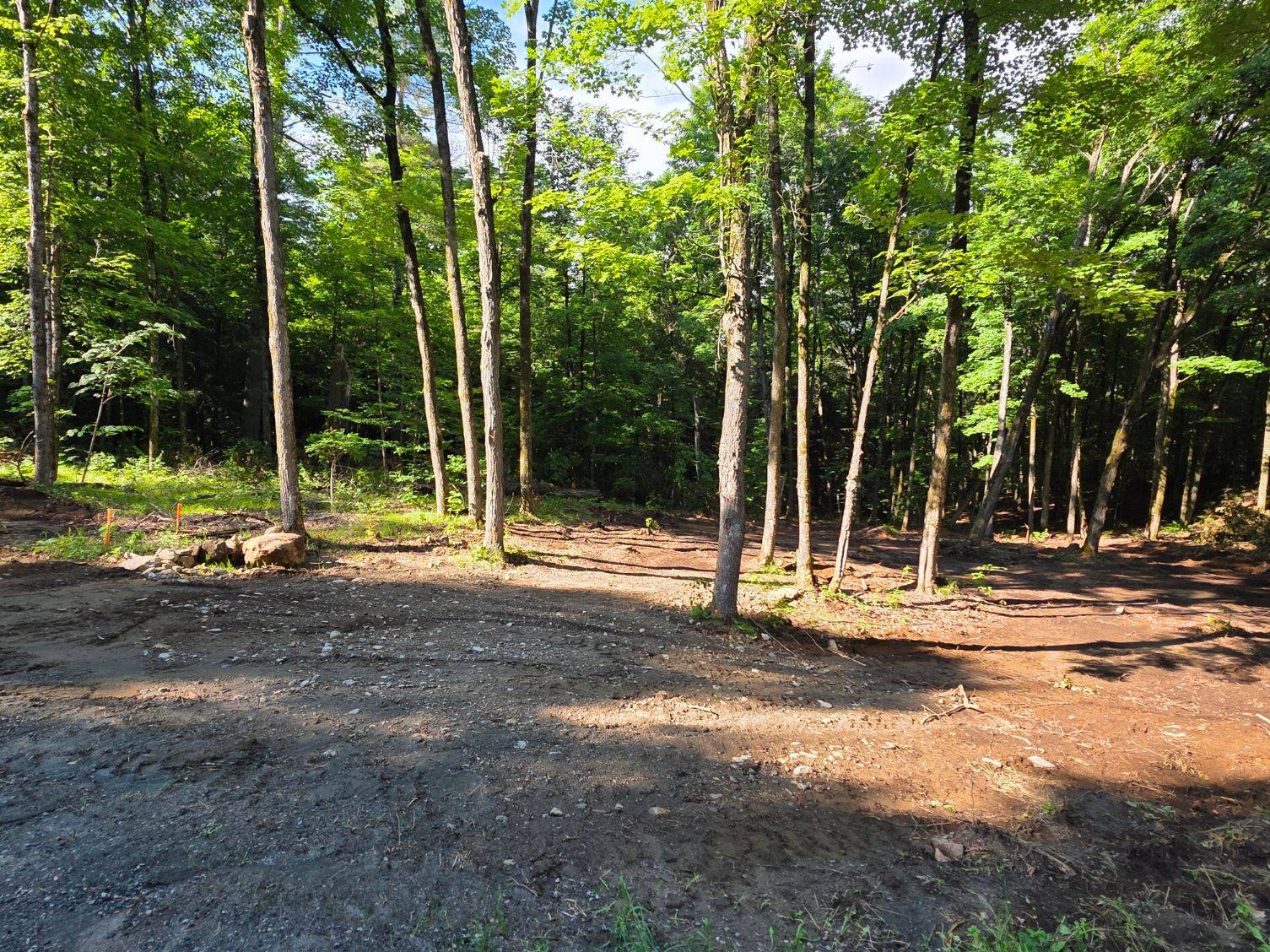 00 2nd Conc Dalhousie Concession, Lanark Highlands, ON K0G 1K0