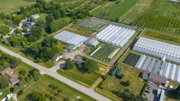 Niagara-on-the-lake, ON L0S 1J0,1269 1273 Larkin RD E