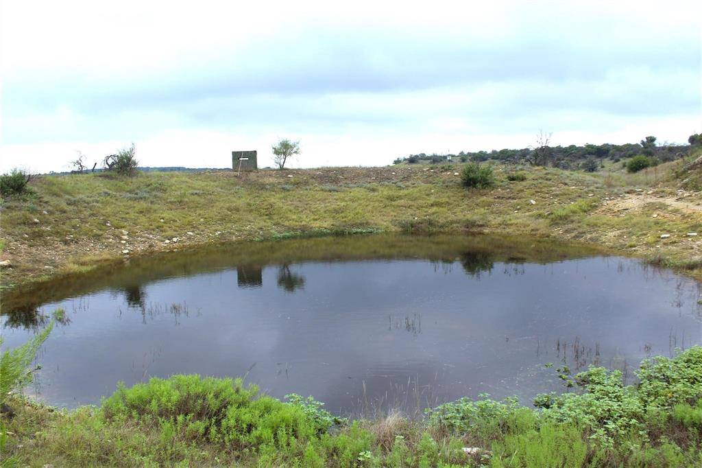 22393 County Road 489, May, TX 76857