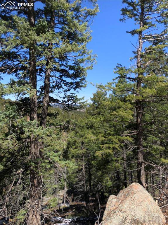 195 Osoeola RD, Woodland Park, CO 80863