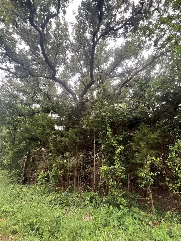 Paris, TX 75417,Tract 6 County Rd 14720