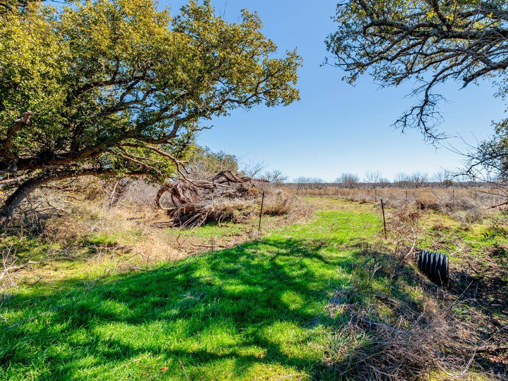 Bangs, TX 76823,TBD County Road 196