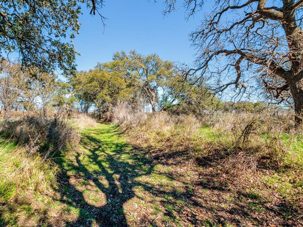 Bangs, TX 76823,TBD County Road 196