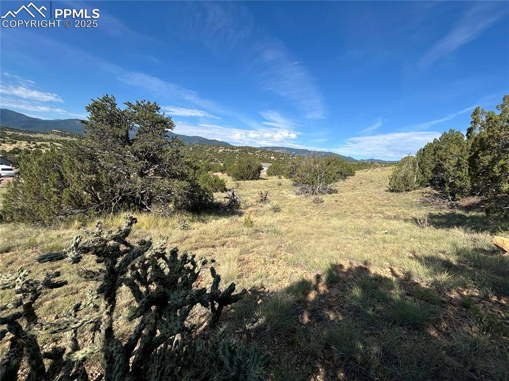 110 Hideaway TRL, Rockvale, CO 81244