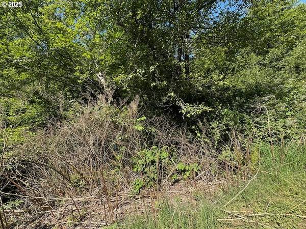 Rockaway Beach, OR 97136,Marine DR