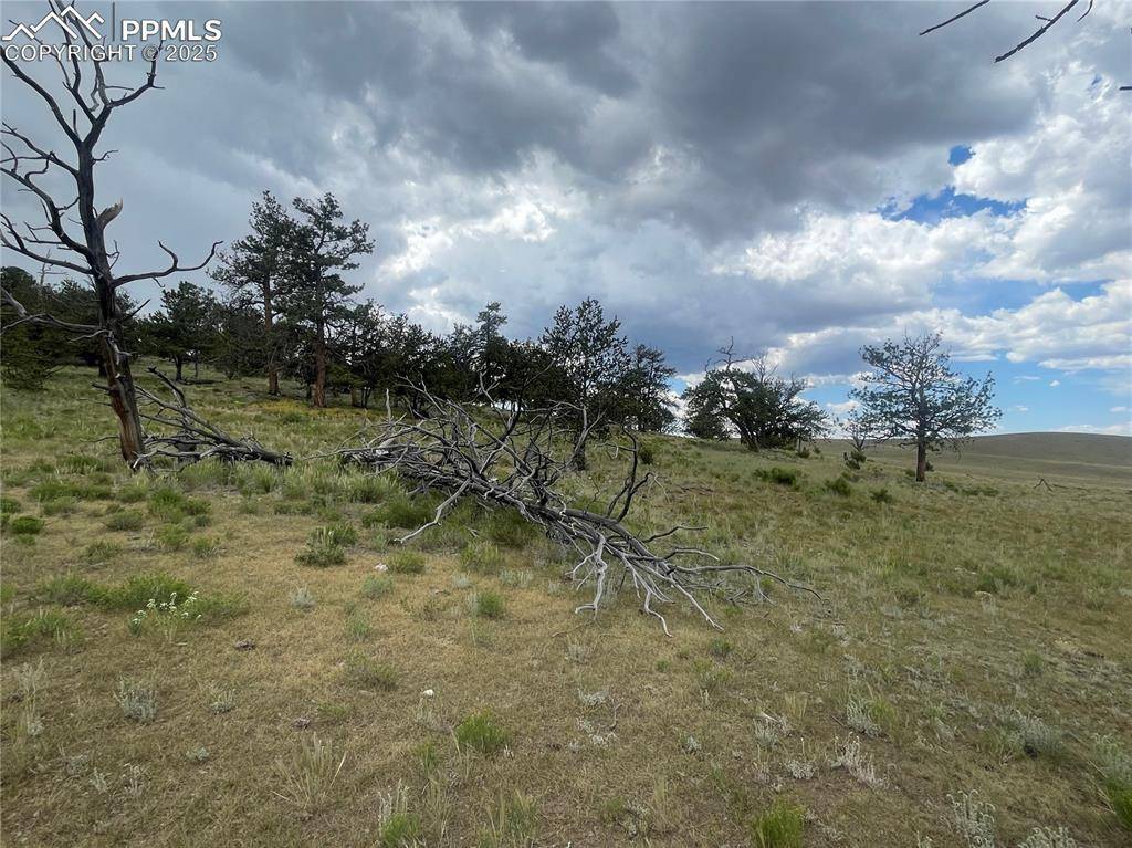Hartsel, CO 80449,1991 Leonardo LN