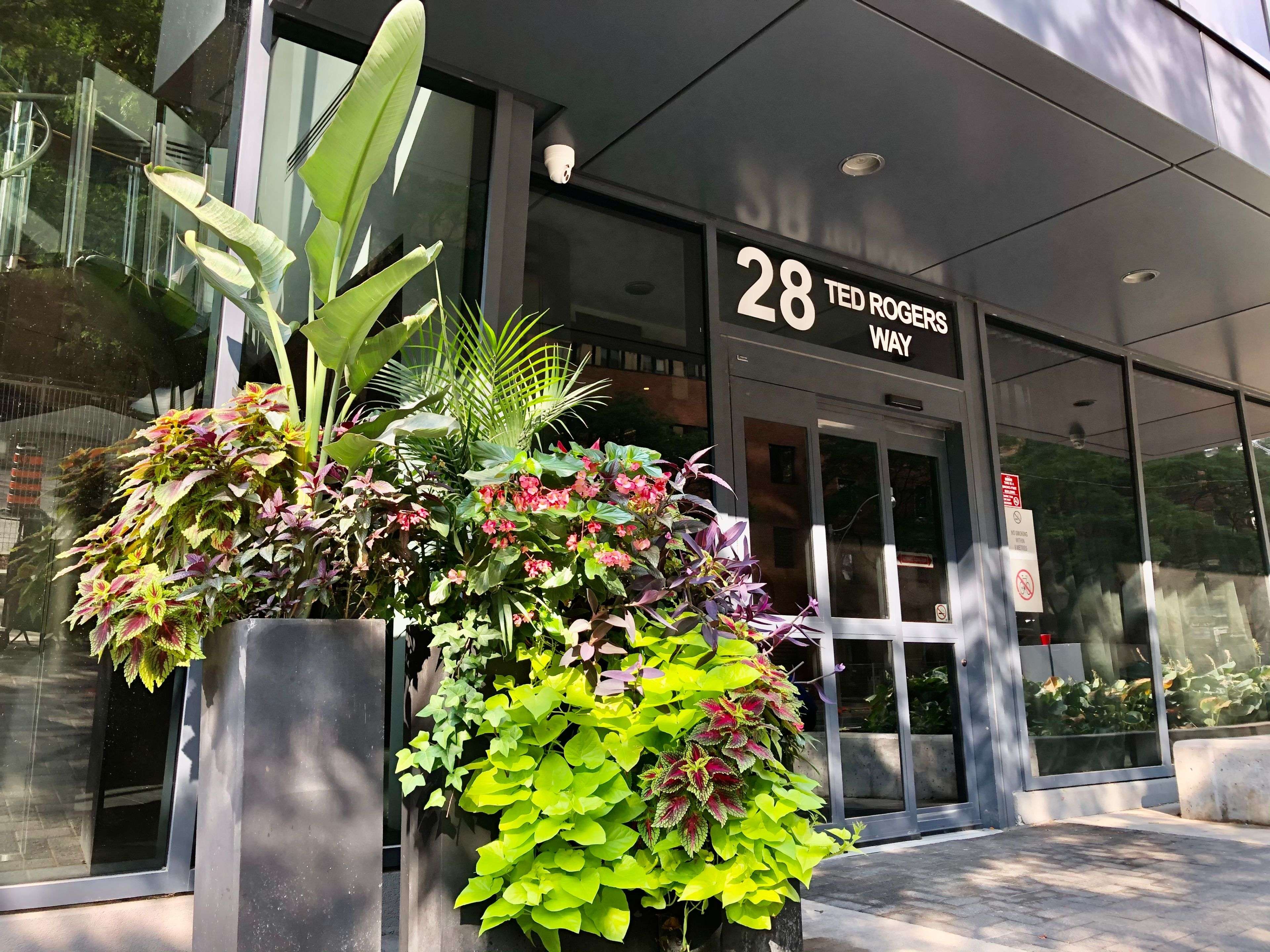 Toronto C08, ON M4Y 2W7,28 Ted Rogers WAY #1811