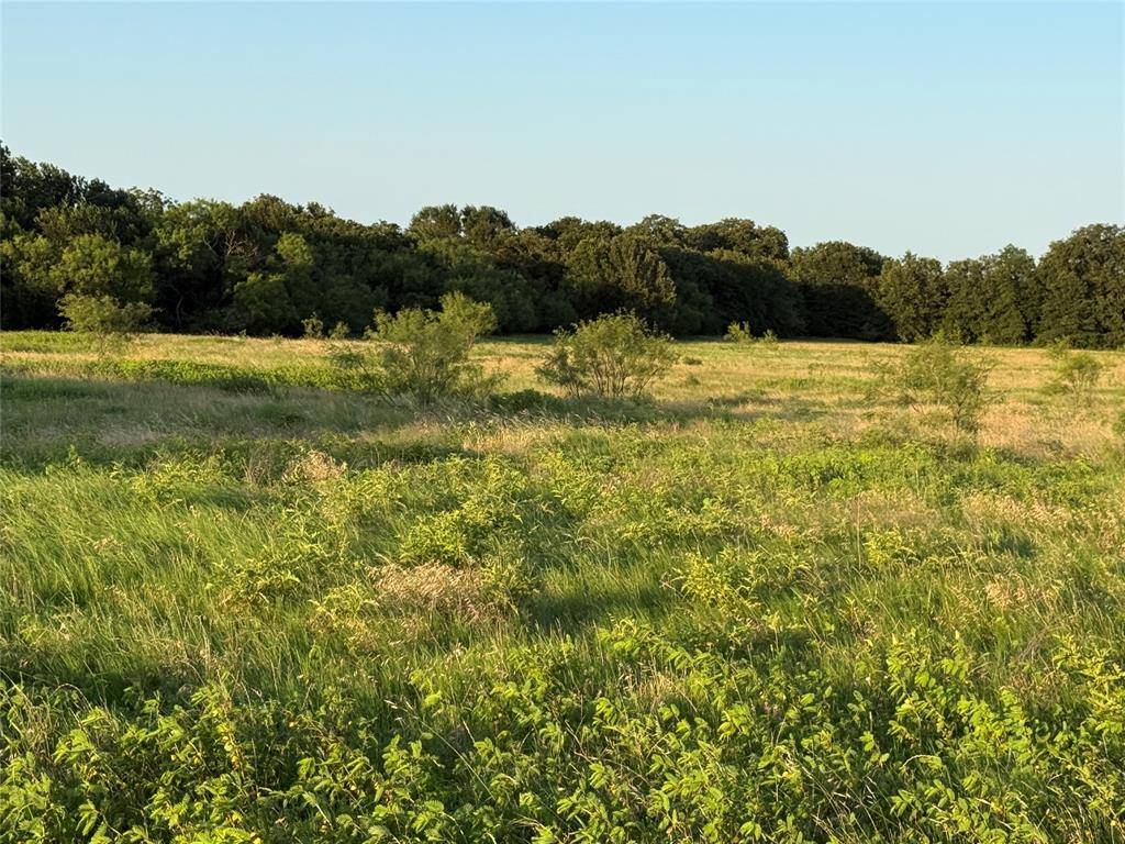 00 Fm-2210, Poolville, TX 76487