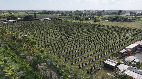 Miami, FL 33187,20850 SW 210th street