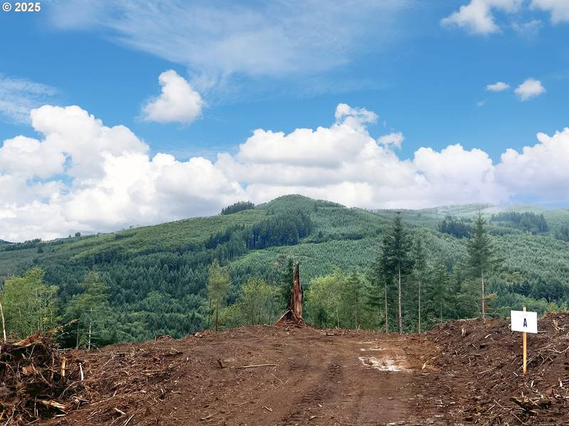 3727 Little Kalama River RD #A, Woodland, WA 98674