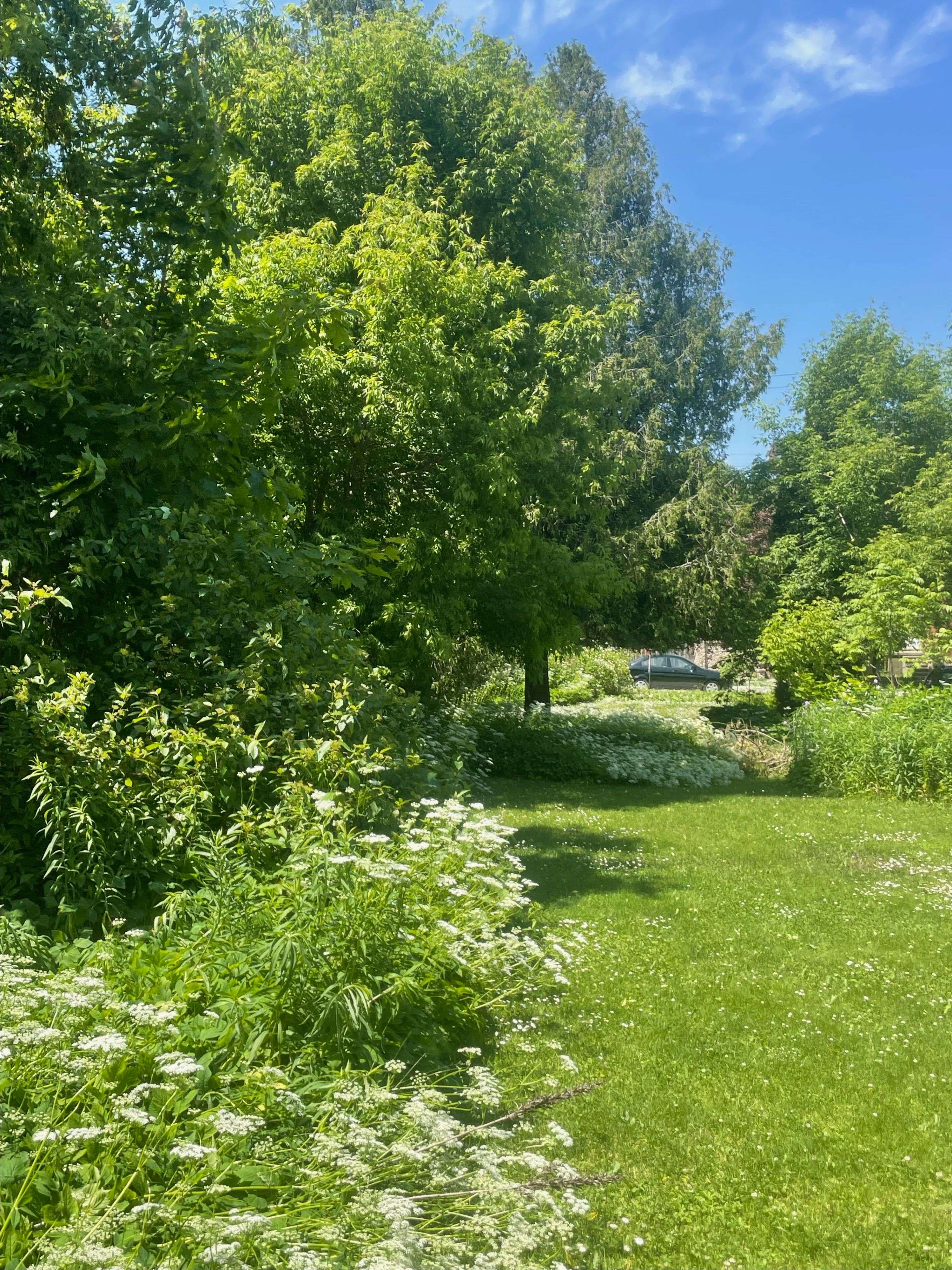 Owen Sound, ON N4K 3N5,LT1 PT4 9th st ST W