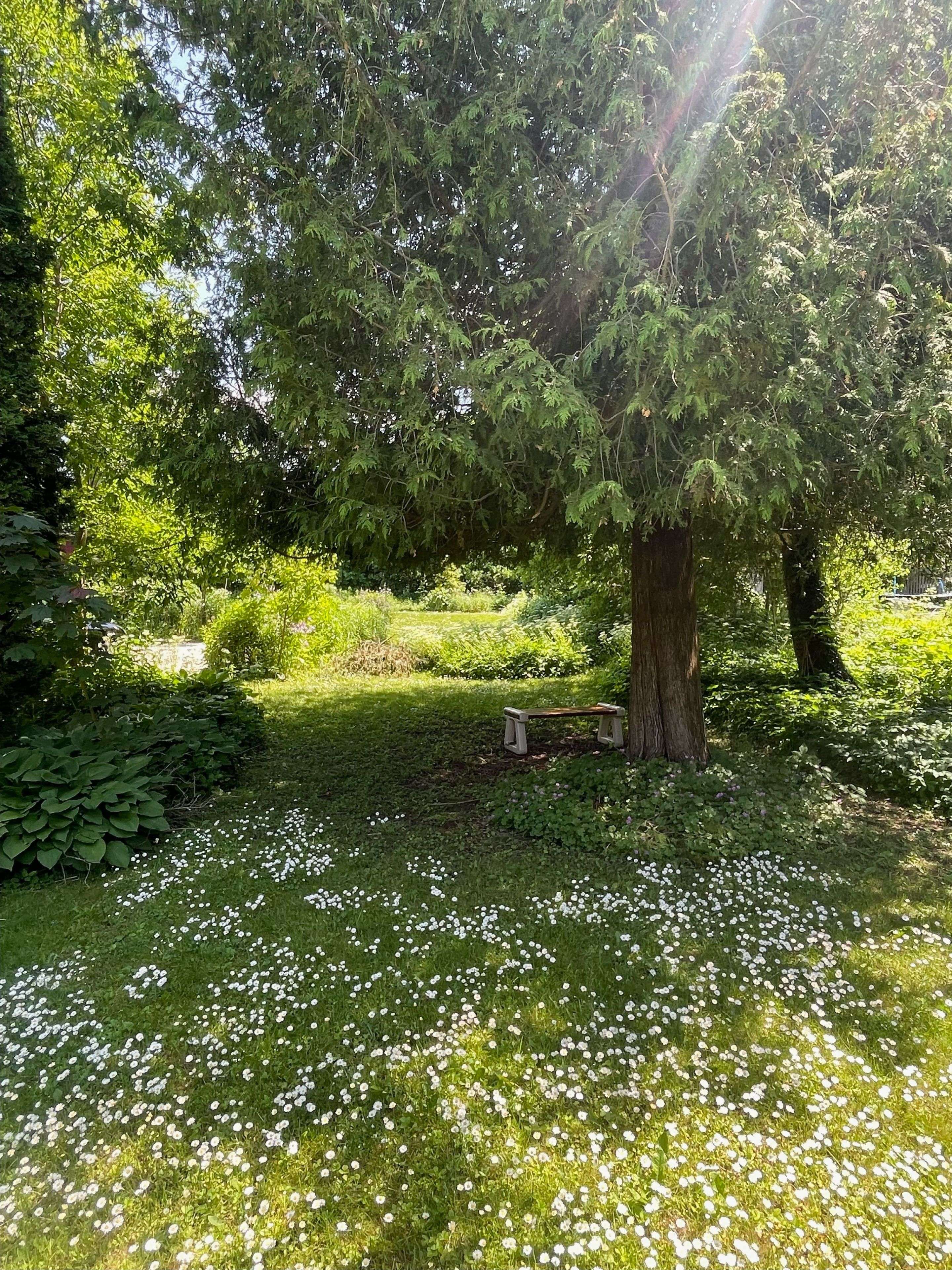 Owen Sound, ON N4K 3N5,LT1 PT4 9th st ST W