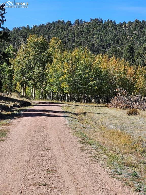 Guffey, CO 80820,7275 Highway 9
