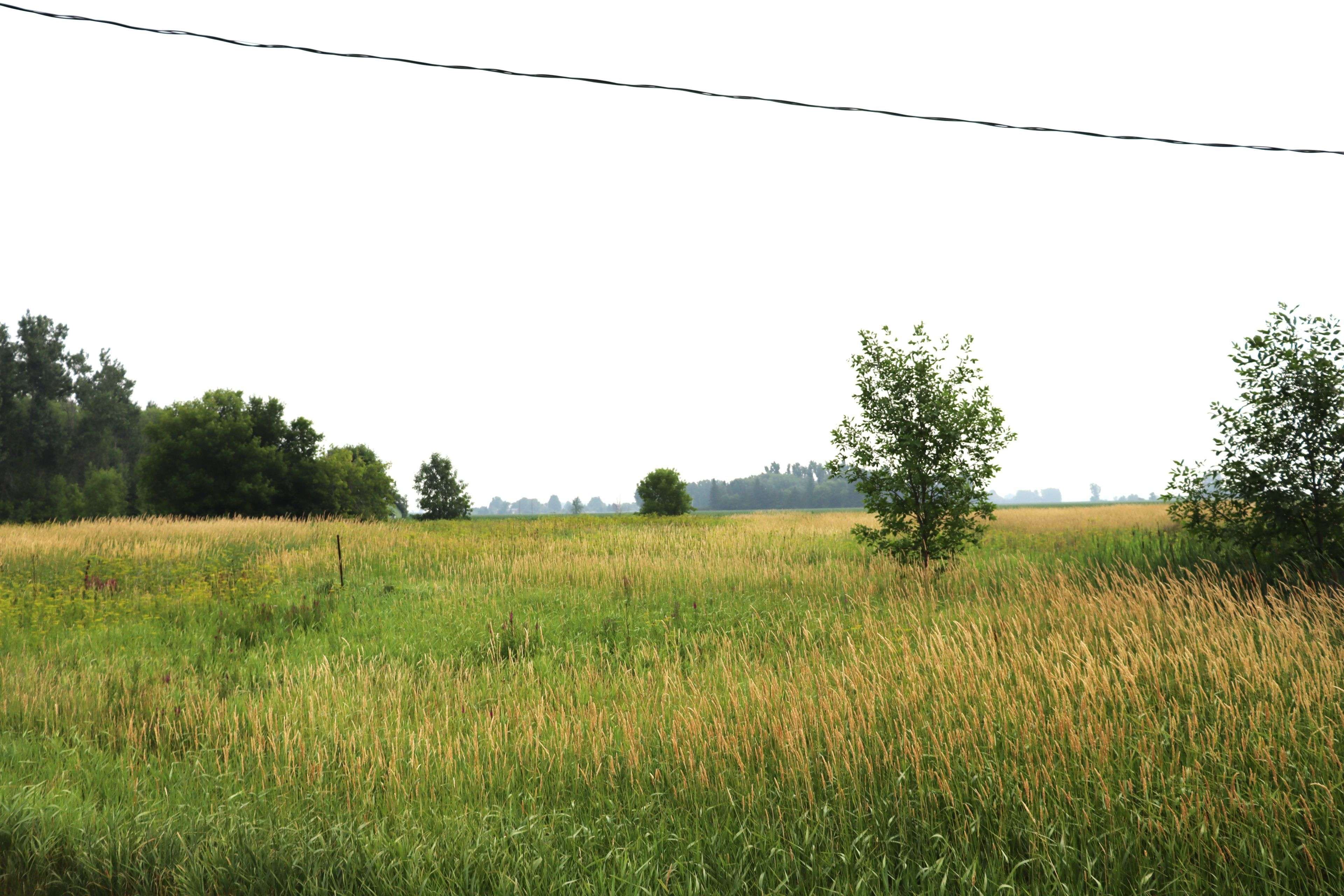 South Dundas, ON K0C 2K0,0000 County Road 31 RD
