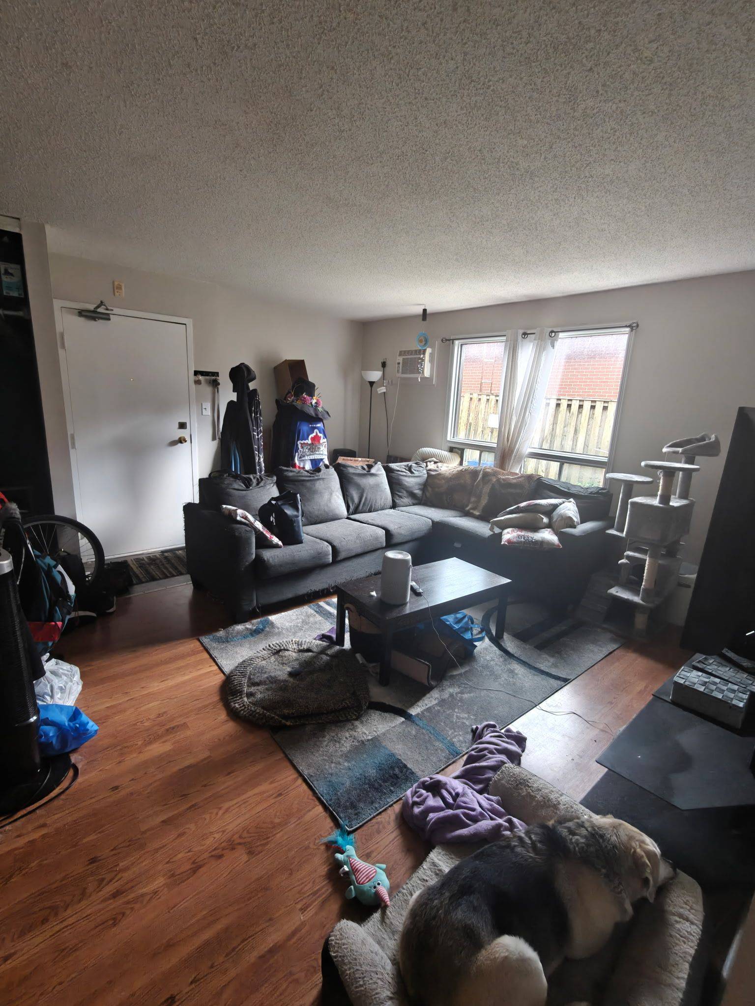 338 Malaga RD #1, Oshawa, ON L1J 1N7