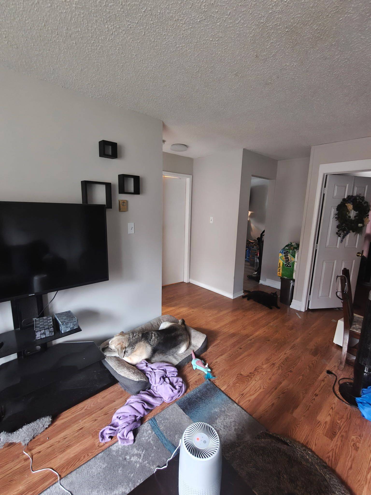 Oshawa, ON L1J 1N7,338 Malaga RD #1