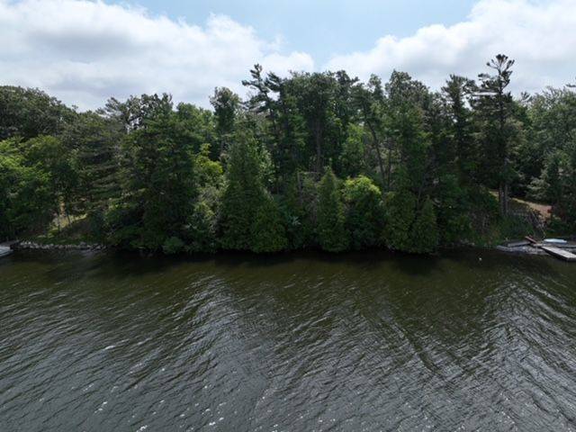 Otonabee-south Monaghan, ON K0L 1V0,26 Cow Island N/A