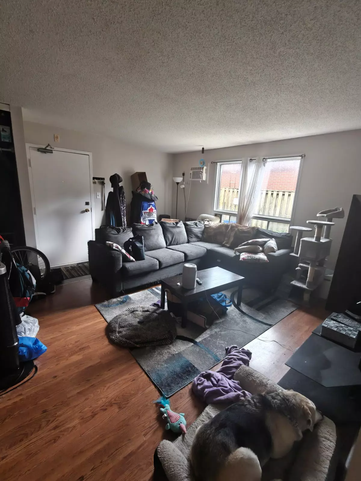 Oshawa, ON L1J 1N7,338 Malaga RD #1