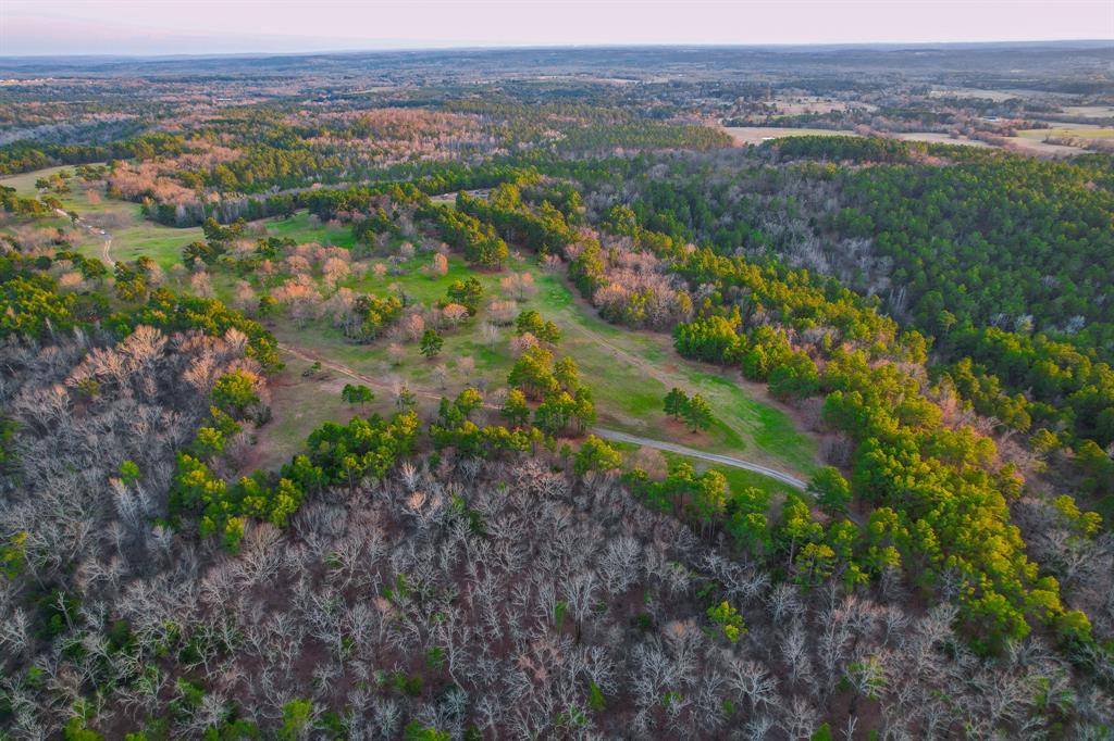 Frankston, TX 75763,TBD CR 4225