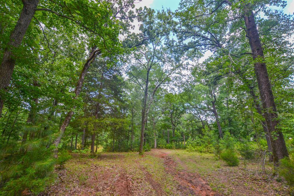Frankston, TX 75763,10933 County Road 4233