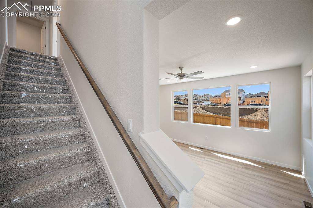 Colorado Springs, CO 80925,11961 Lake Trout DR