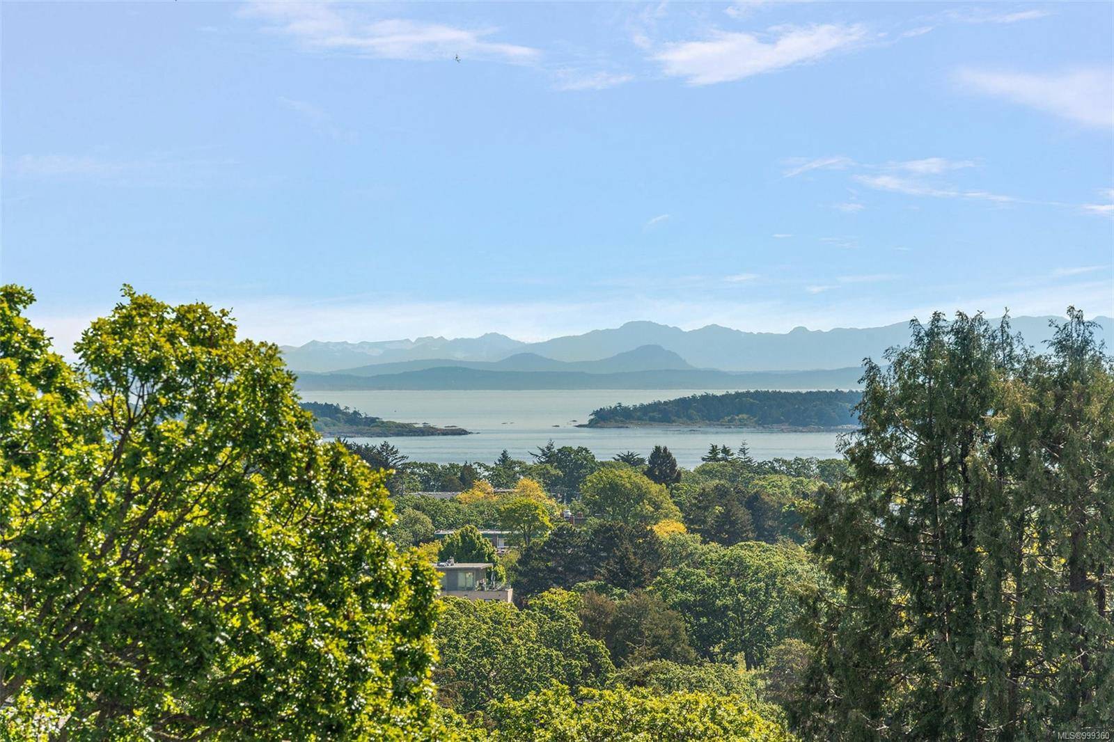 1019 Terrace Ave, Victoria, BC V8S 3V2