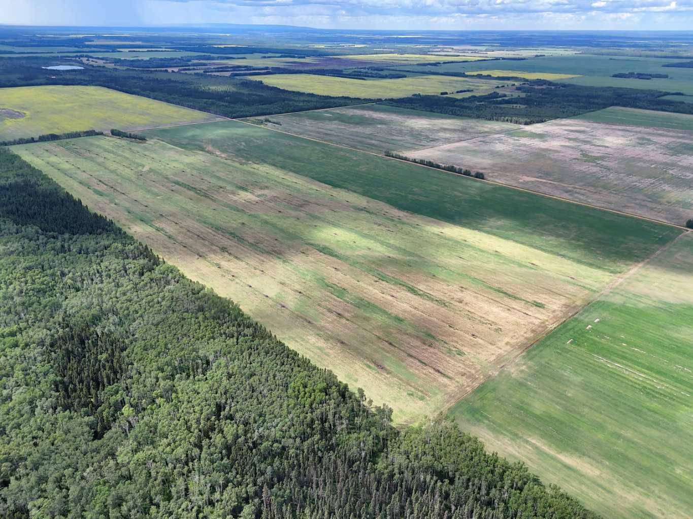 Rural Mackenzie County, AB T0H 1N0,108157 Range Road 162