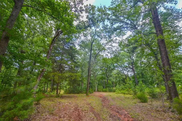 Frankston, TX 75763,10933 County Road 4233