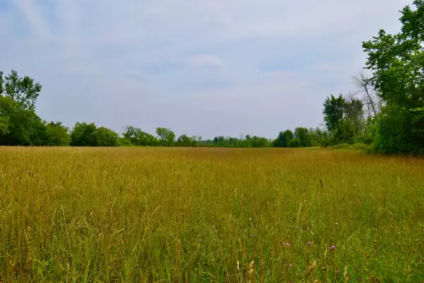 Stone Mills, ON K0K 3N0,~1654 Bethel RD