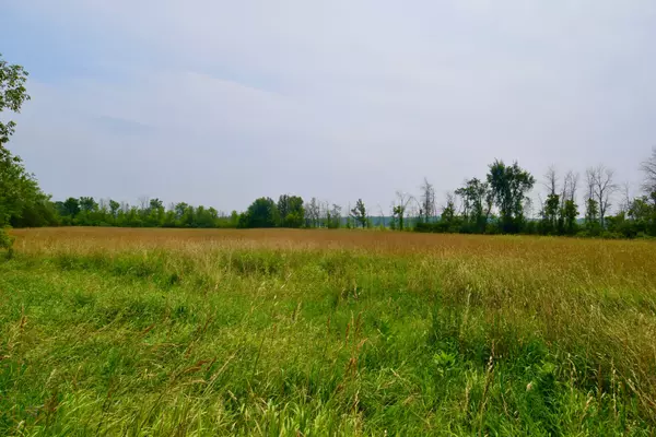 Stone Mills, ON K0K 3N0,~1654 Bethel RD