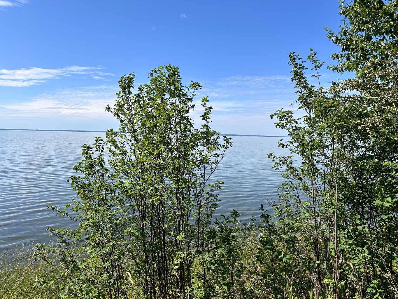 Lac La Biche, AB T0A 2C0,14579 TWP RD 690 #333